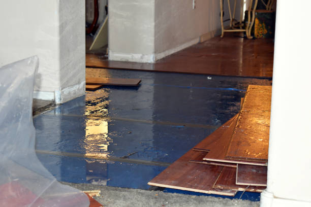 Professional Basement Water Removal technician working in Elmwood Park, NJ