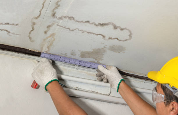 Reliable Basement Water Removal contractor in Elmwood Park, NJ by Water Damage Irwin